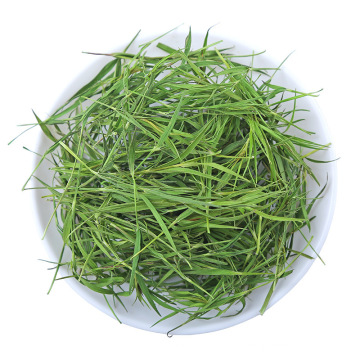Zhuyeqing Green Tea Supeior Bamboo leaf green Good Green Tea